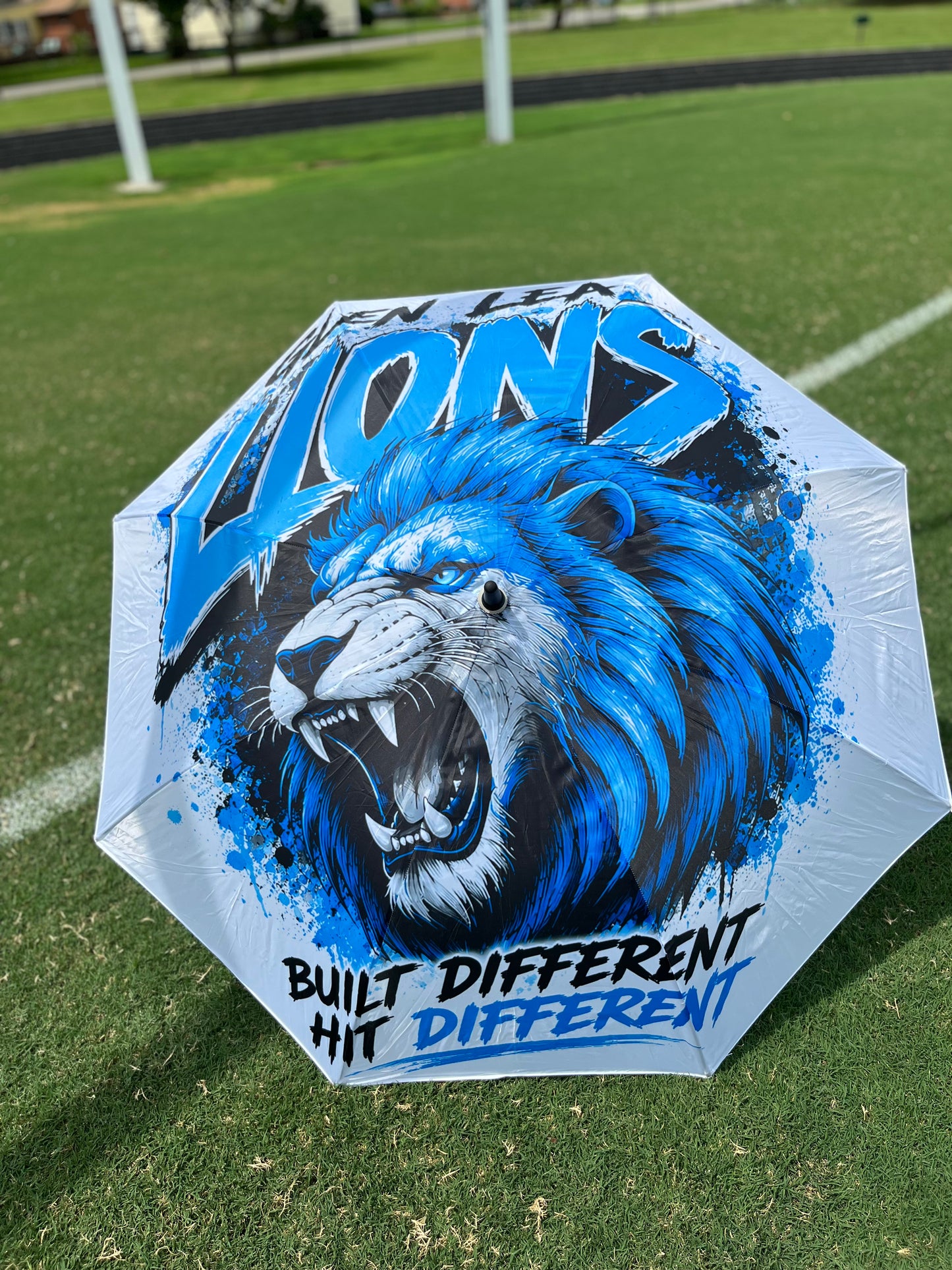Custom Umbrella