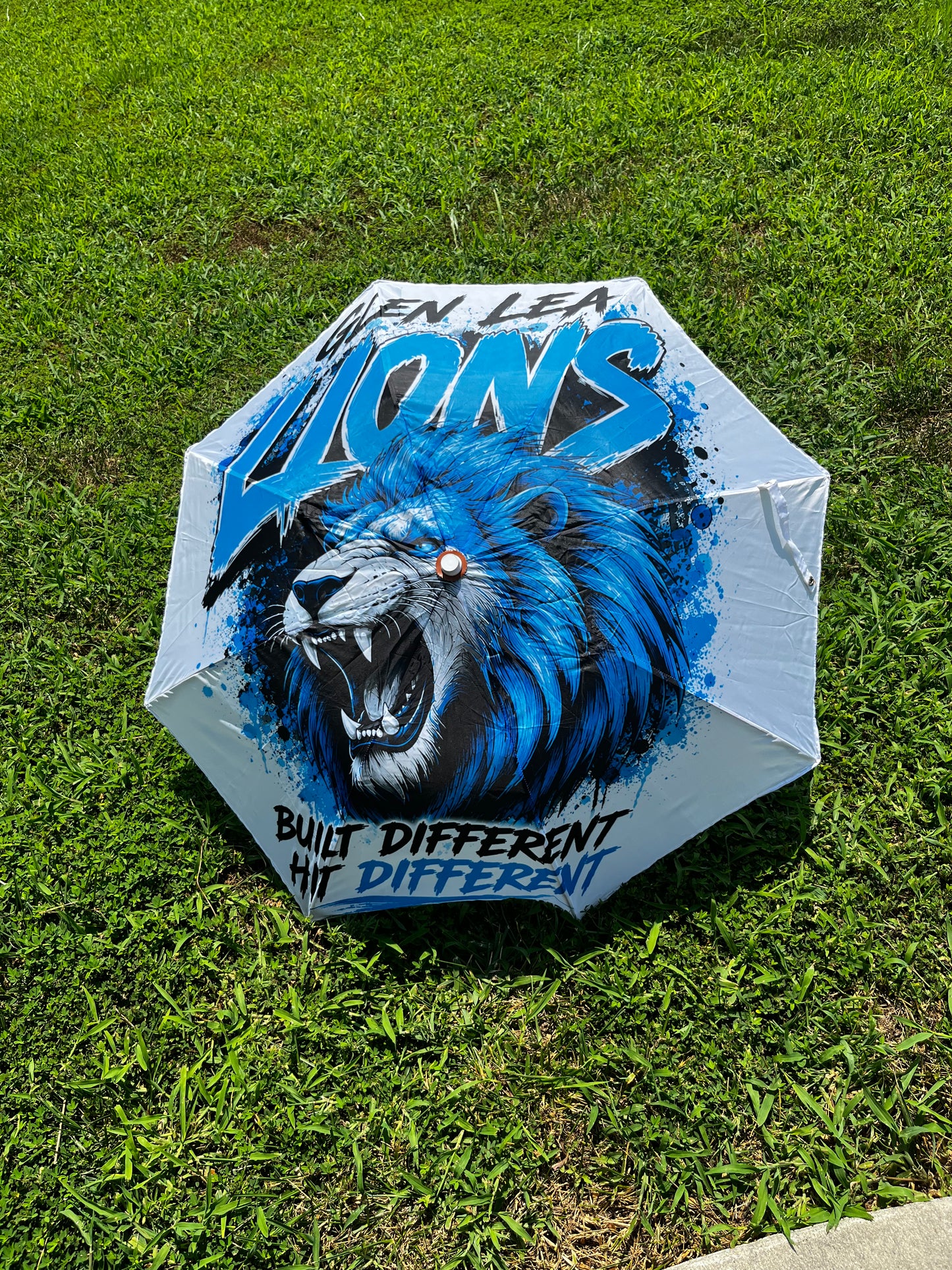 Custom Umbrella