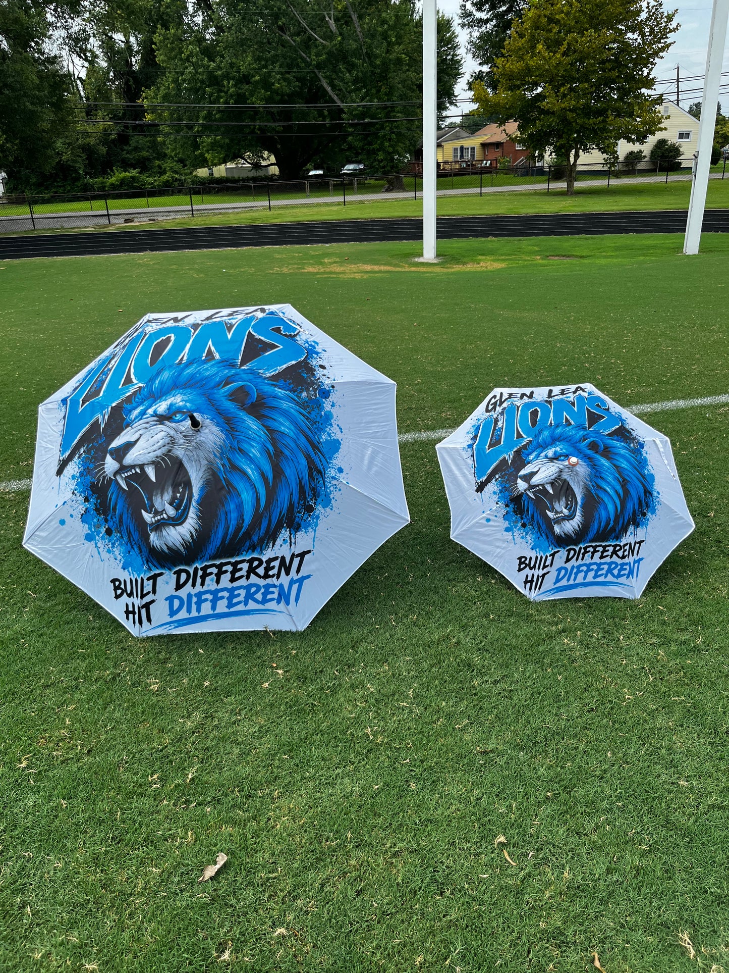 Custom Umbrella